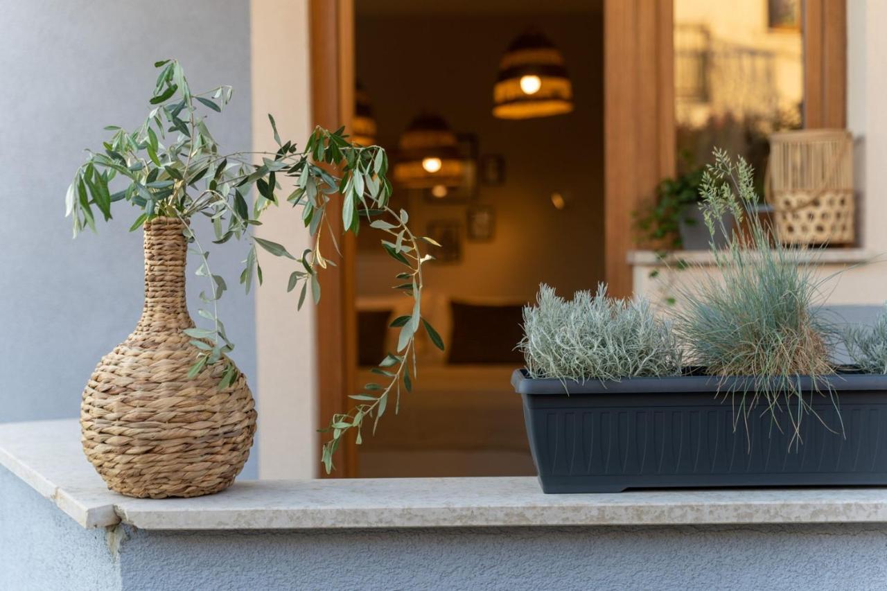 Apartments Alloro By Seeadria Agency Novigrad Istria Extérieur photo