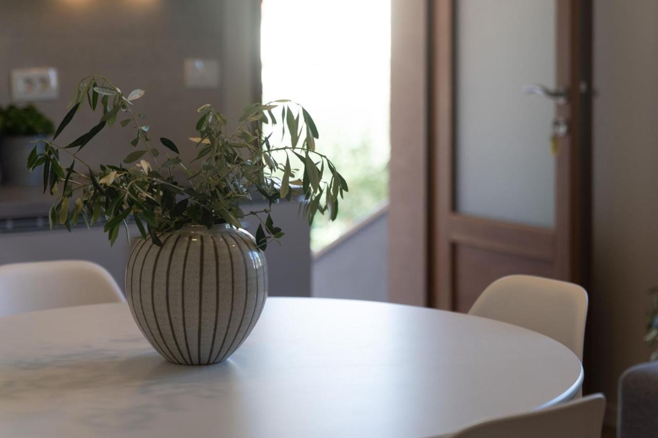 Apartments Alloro By Seeadria Agency Novigrad Istria Extérieur photo